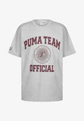 Puma Team Graphic Grey