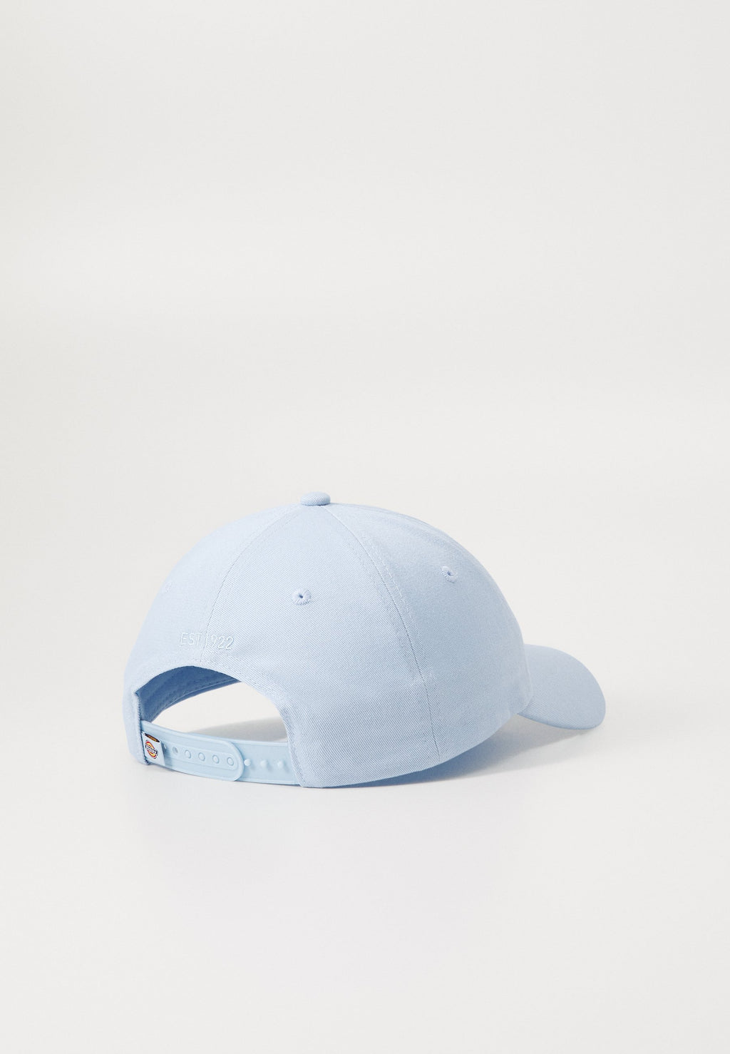 Dickies Hardwick Skyway Cap - back view