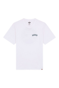 Dickies Circle Logo T- White